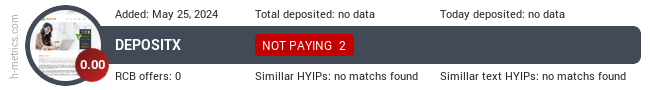 H-metrics.com widget for depositx.top