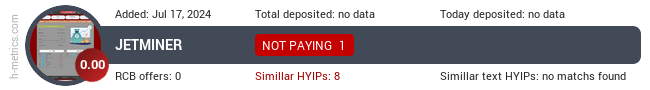 H-metrics.com widget for jetminer.xyz