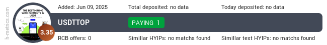 H-metrics.com widget for usdttop.xyz