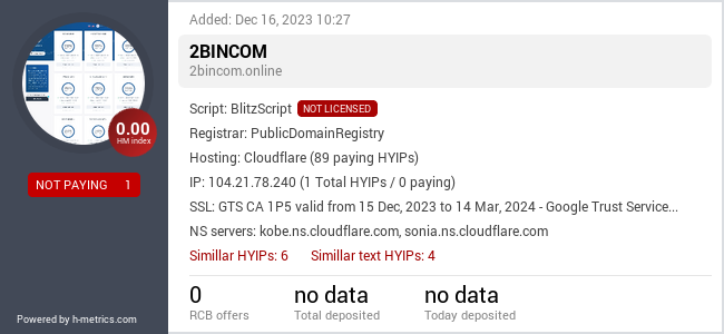 H-metrics.com widget for 2bincom.online