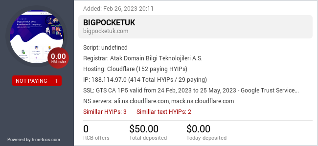 HYIPLogs.com widget for bigpocketuk.com