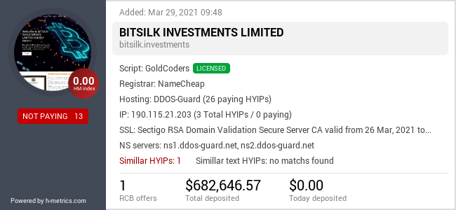 H-metrics.com widget for bitsilk.investments