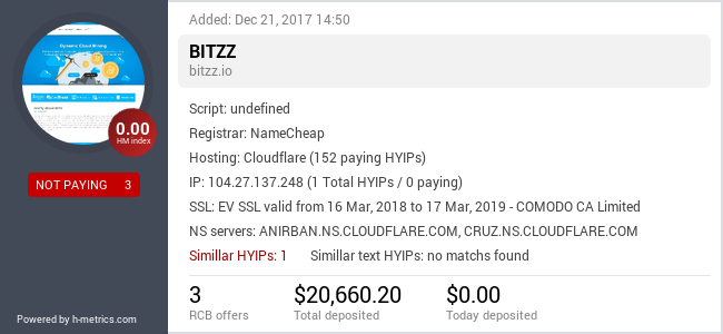 H-metrics.com widget for bitzz.io