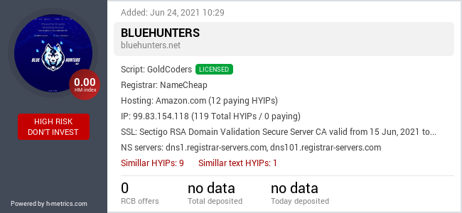 H-metrics.com widget for bluehunters.net