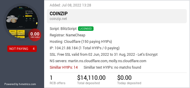 H-metrics.com widget for coinzip.net