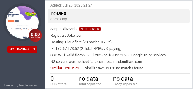H-metrics.com widget for domex.my