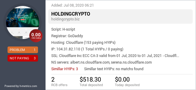H-metrics.com widget for holdingcrypto.biz