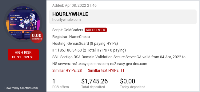 H-metrics.com widget for hourlywhale.com