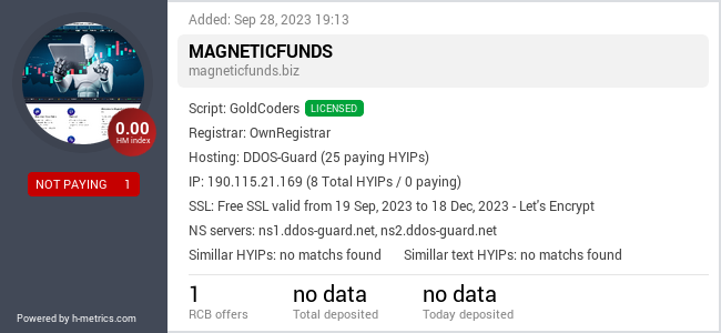 H-metrics.com widget for magneticfunds.biz
