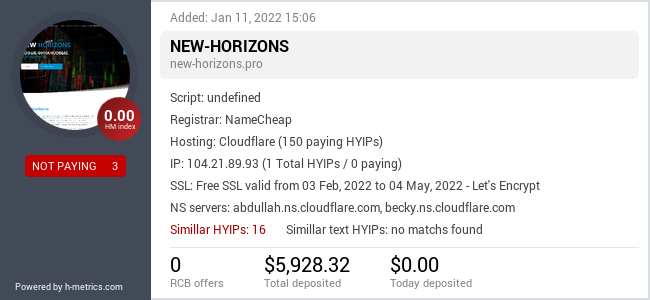 H-metrics.com widget for new-horizons.pro