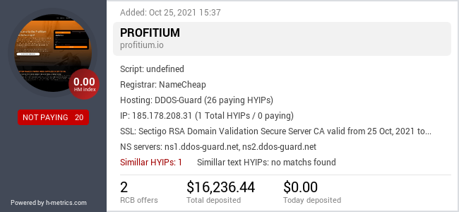 HYIPLogs.com widget for profitium.io