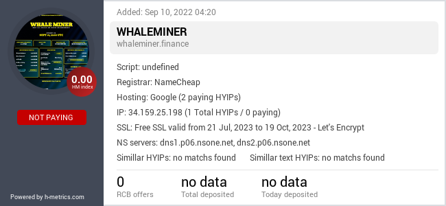 H-metrics.com widget for whaleminer.finance